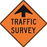 Traffic Survey Ahead