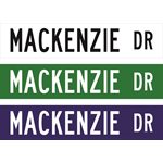 Street Name Blade - 42" x 9" - 12 characters - High Intensity